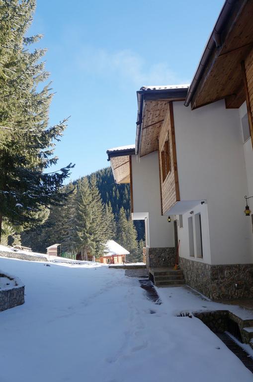 Boriki Complex Villa Pamporovo Eksteriør billede