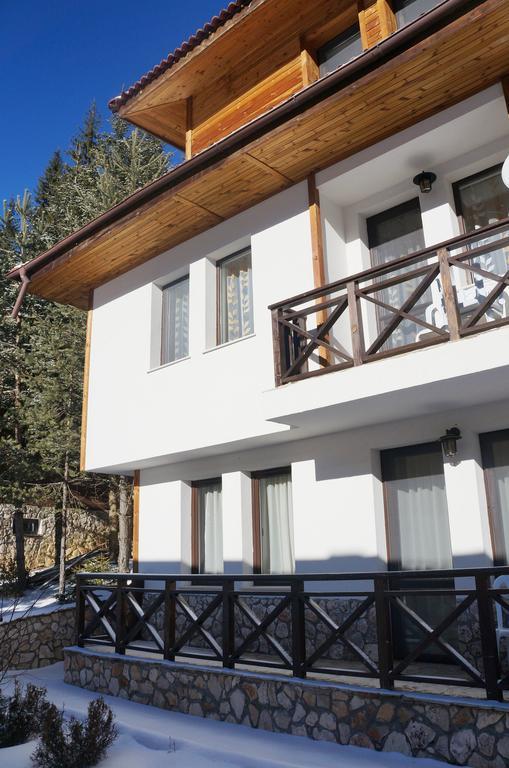 Boriki Complex Villa Pamporovo Eksteriør billede